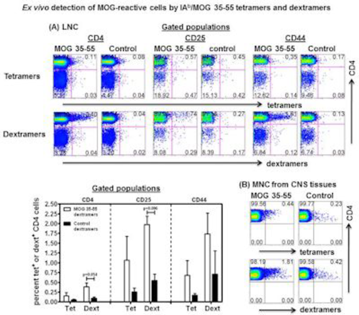 An image with series of results.