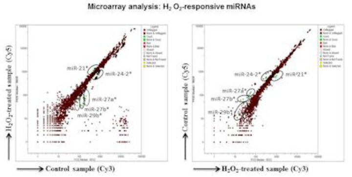 Two images. Microarray analysis