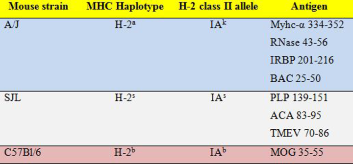 Table of MHC class II tetramers and/or dextramers as noted below. 